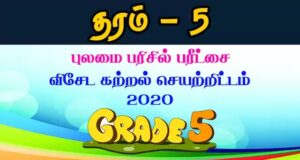 Read more about the article Grade 5 Scholarship Model Paper Pack 2020 | PDF Easy Download
