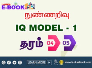 Read more about the article Grade 4,5 IQ model paper | set PDF file Easy Download