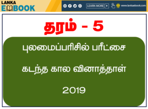 Read more about the article Grade 5 scholarship Past Papers | Tamil medium 2019 PDF File easy Download