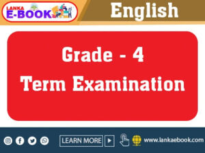 Read more about the article Grade 4 English papers | Term Examination | PDF Easy Download