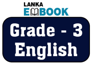 Read more about the article Grade 3 English | Practice Exam Paper | Easy Download PDF