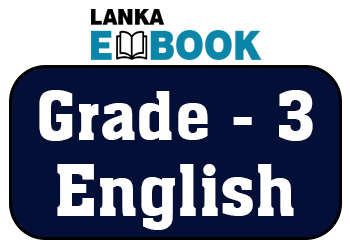 Read more about the article Grade 3 English | Practice Exam Paper | Easy Download PDF