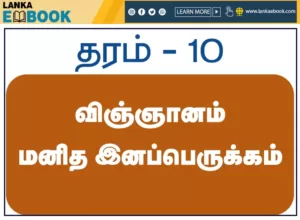 Read more about the article Grade 10 Science human reproductive system easy learning Tamil Medium