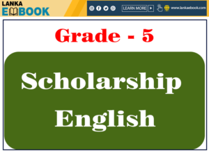 Read more about the article Grade 5 scholarship exam Excellent English Qualitative Module