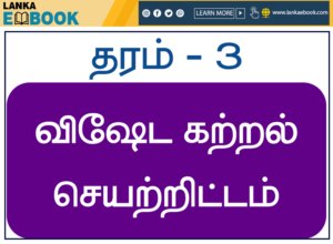 Read more about the article Grade 3 Tamil Medium | Students Special Learning Project | Easy Download