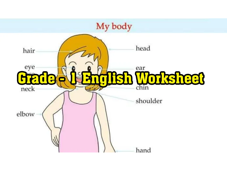 Read more about the article Grade 1 English worksheets | English Medium | PDF Easy Download