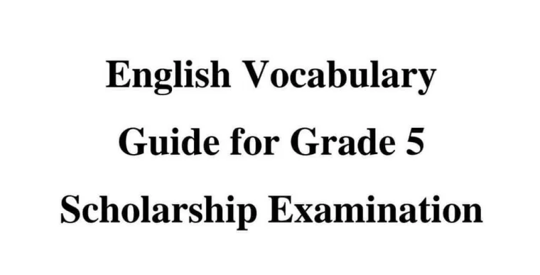 Read more about the article Grade 5 English Papers | Vocabulary Worksheet | PDF Easy Download | PDF Easy Download