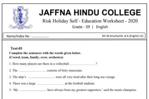 Read more about the article Grade 9 English Papers | Holiday Self Education Worksheet | PDF Easy Download