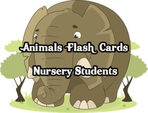 Read more about the article Animal Flash Cards | Nursery worksheets | PDF Easy Download 2021