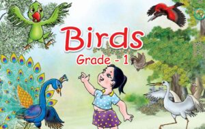 Read more about the article About Birds in English | Grade 1 English Medium | PDF Easy Download