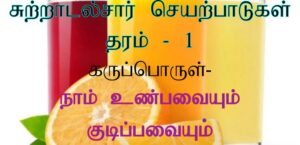 Read more about the article Grade 1 Environment Worksheets | Tamil Medium | PDF Easy Download