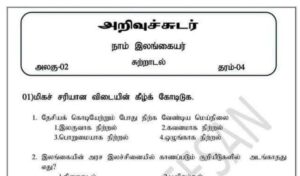 Read more about the article Grade 4 Environment Paper | Tamil Medium | PDF Easy Download