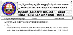 Read more about the article Grade 11 English Papers | First Term Examination | PDF Easy Download