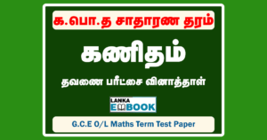 Read more about the article Grade 11 Maths Papers | Tamil Medium | Term Test Paper | PDF Easy Download