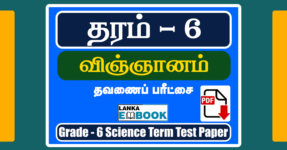 Read more about the article Grade 6 Science Term Test Paper | Tamil Medium | PDF Free Download