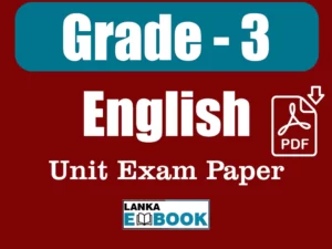 Read more about the article Grade 3 English Papers | Unit Exam Paper | PDF Easy Download